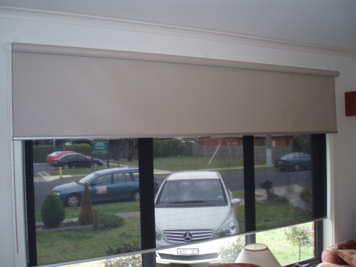 Roller Blind - Screen(Day Blind) See Through