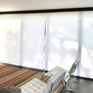 Translucent Blinds