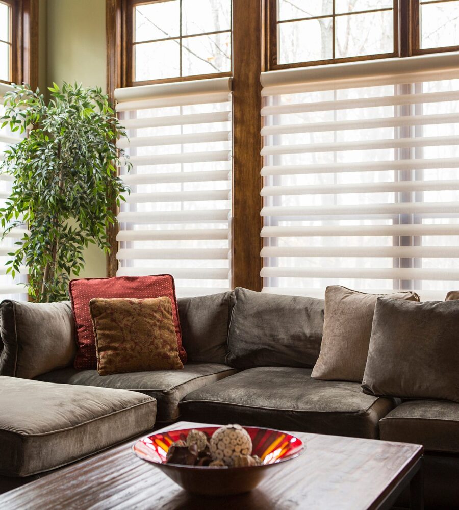 Living Room Blinds