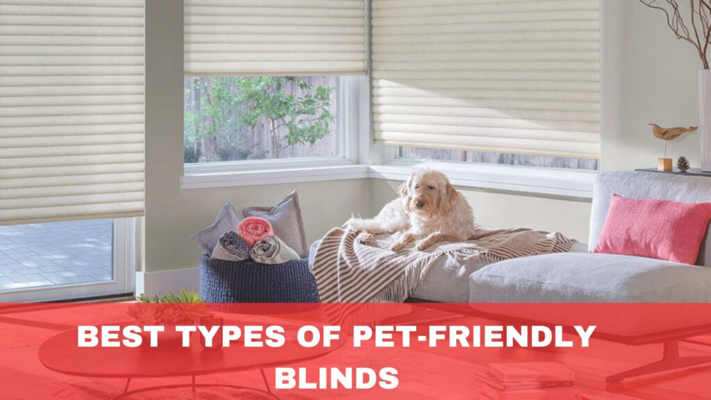 Best Types of Pet-Friendly Blinds
