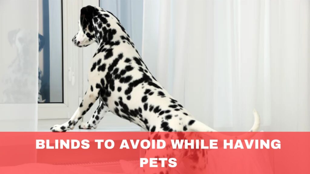 Blinds To Avoid While Having Pets