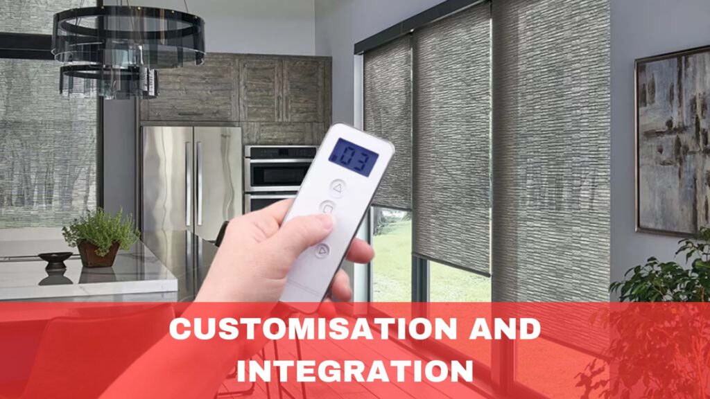 Customisation and Integration