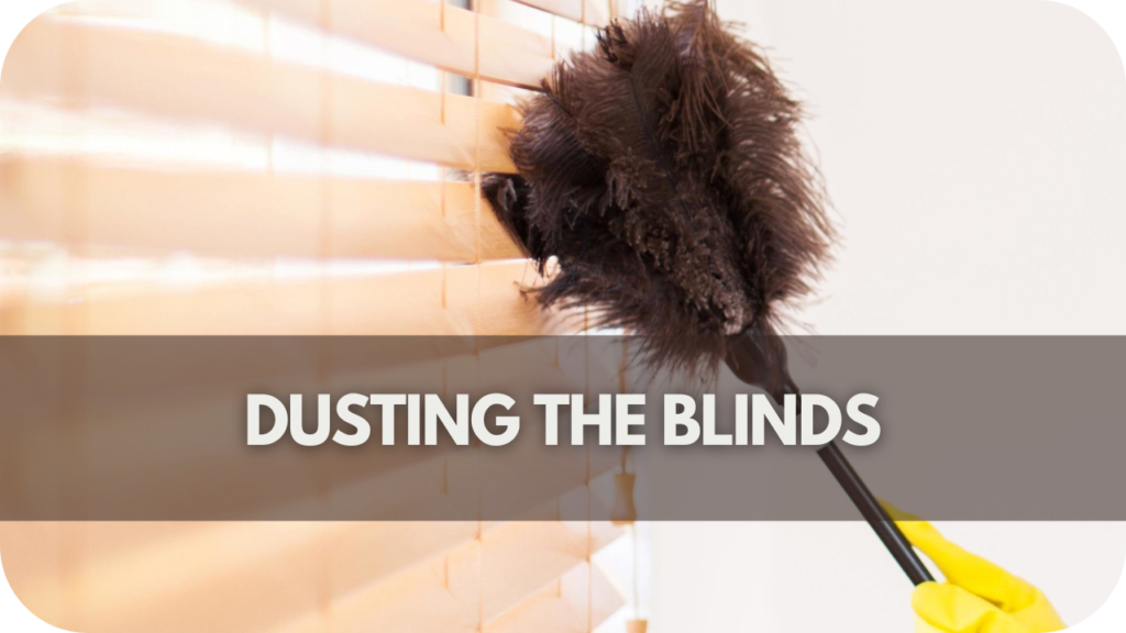 Dusting the Blinds