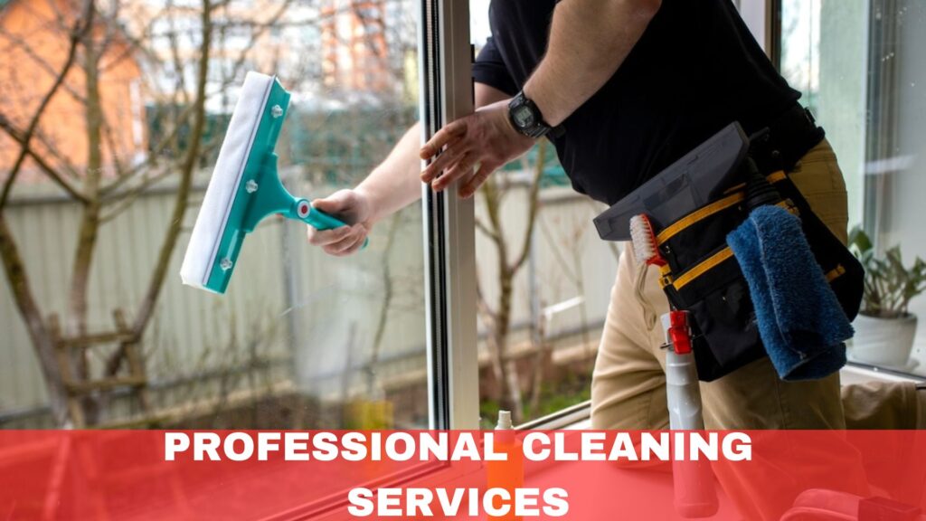 Professional Cleaning Services