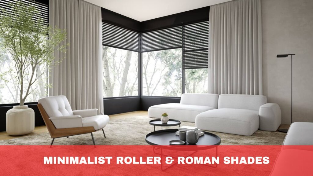 Minimalist Approach with Roller and Roman Shades