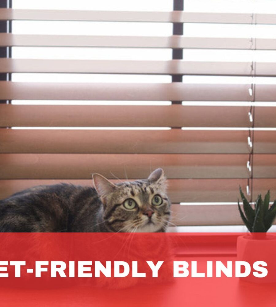 Pet-Friendly Blinds