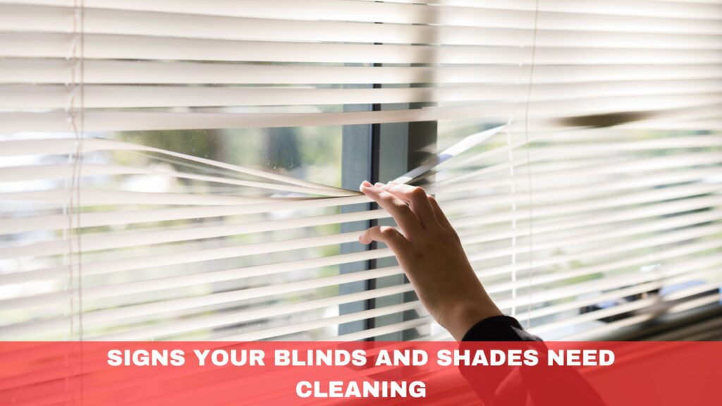 Signs Your Blinds and Shades Need Cleaning