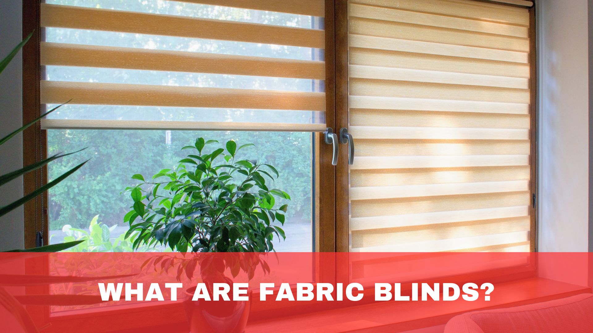 What Are Fabric Blinds