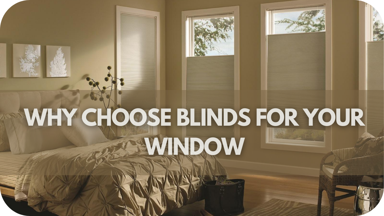 Why Choose Blinds For Your Window