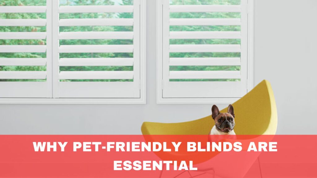 Why Pet-Friendly Blinds Are Essential