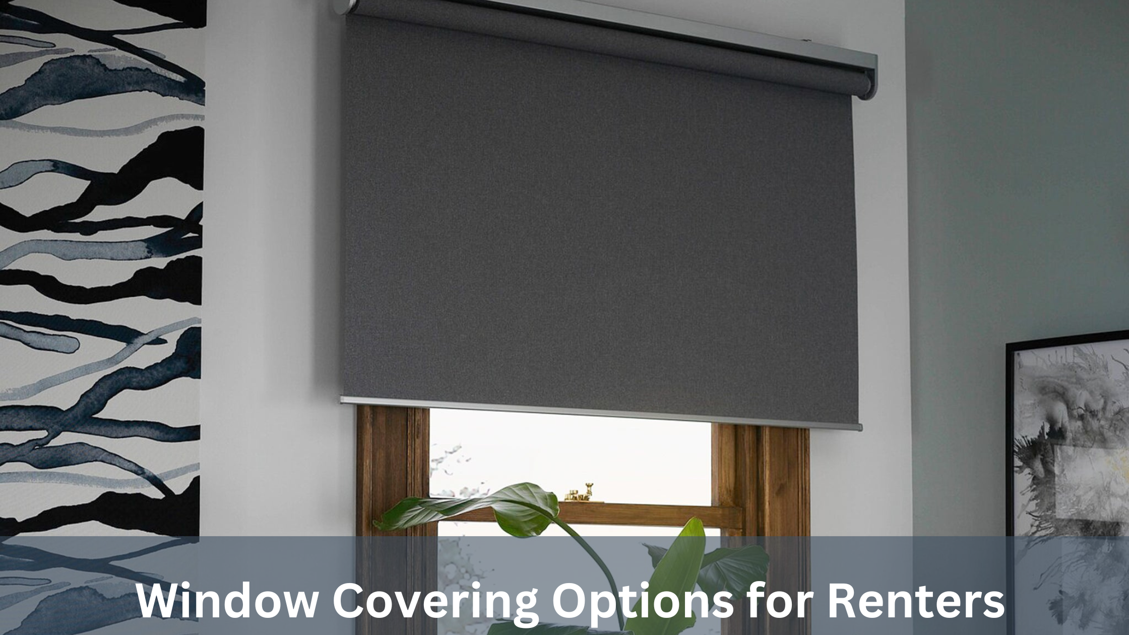 What Are the Best Window Covering Options for Renters on a Budget?