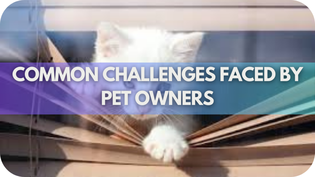 Common Challenges Faced by Pet Owners