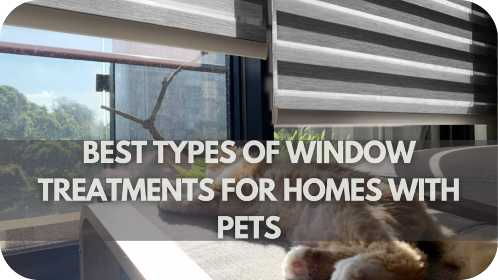 Best Types of Window Treatments for Homes with Pets
