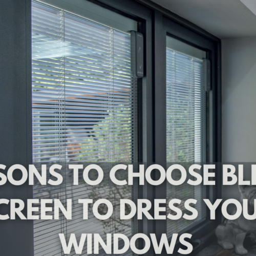 Why Blinds Screens Are the Perfect Choice for Your Windows (Reason #5 Will Surprise You!)