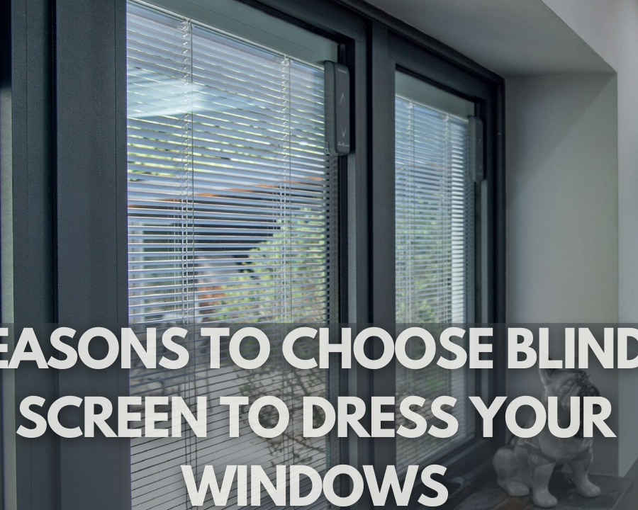 Reasons to Choose Blinds Screen to Dress Your Windows