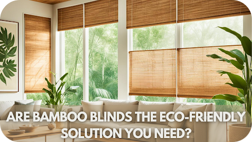 Bamboo Blinds: The Eco-Friendly Window Solution You Didn’t Know You Needed