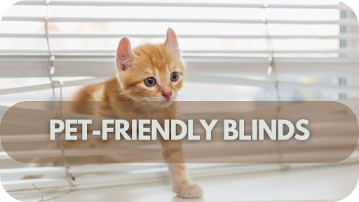 Say Goodbye to Scratches: The Ultimate Guide to Pet-Friendly Blinds