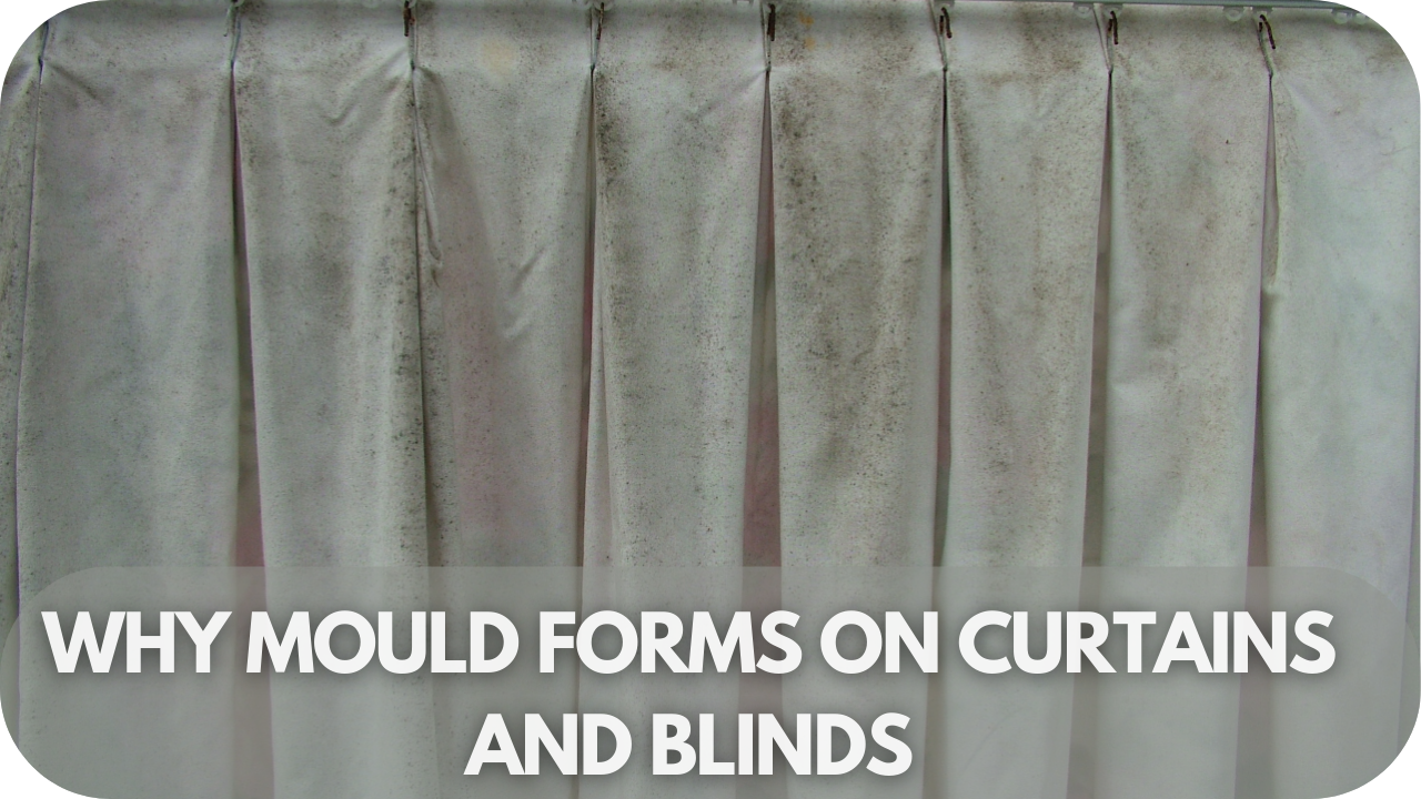 Reasons for mould growth on curtains and blinds