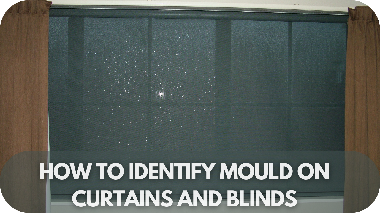 How to spot mould on curtains and blinds