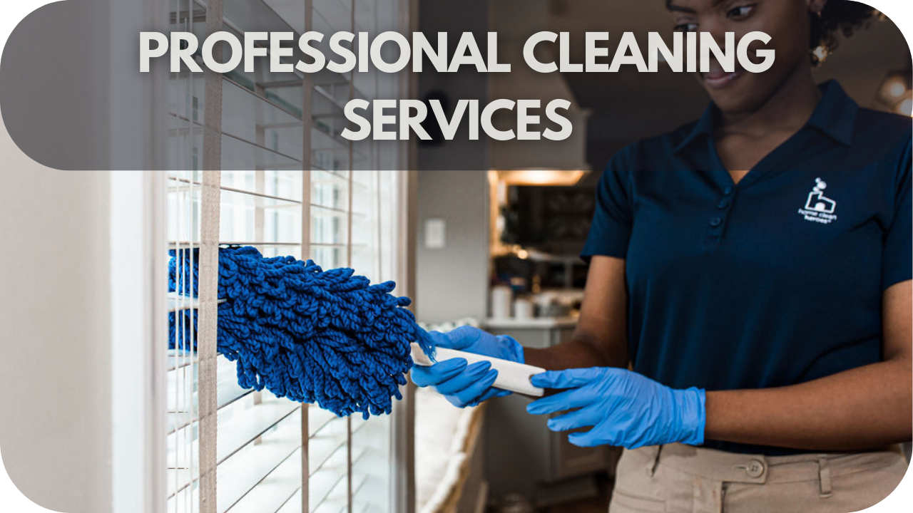 Professional blind cleaning services