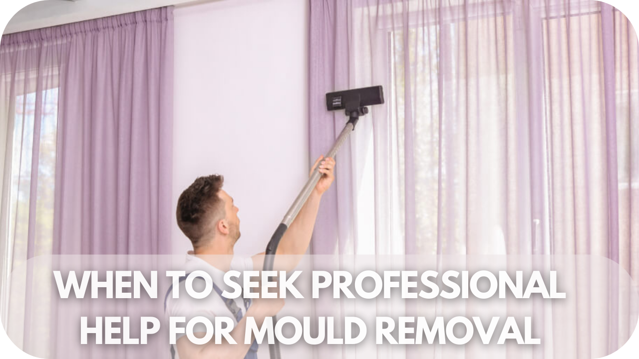 When to call a professional for mould removal