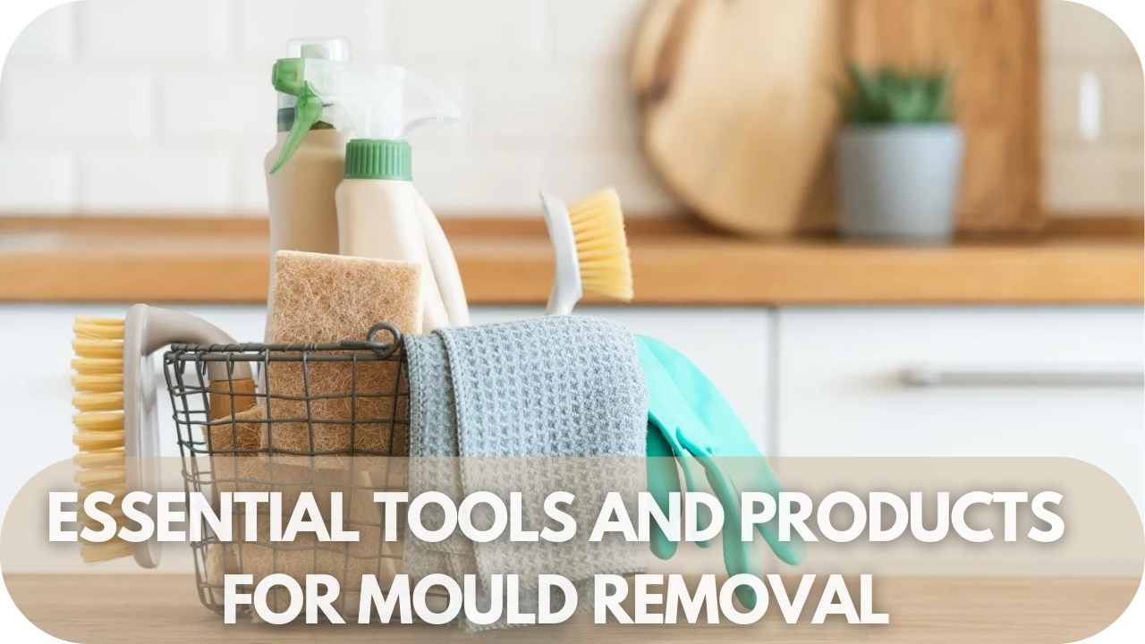 Must-have tools and products for mould removal