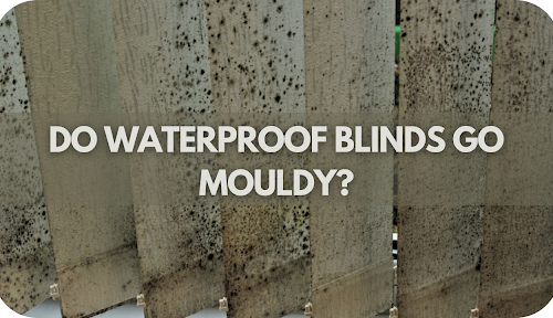 Do Waterproof Blinds Really Go Mouldy? The Surprising Truth Revealed!