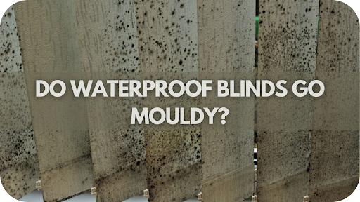 Do Waterproof Blinds Really Go Mouldy? The Surprising Truth Revealed!