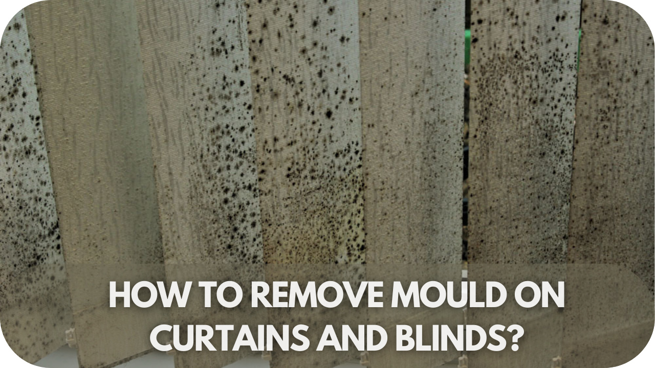 How to Banish Mould from Your Curtains and Blinds in No Time!